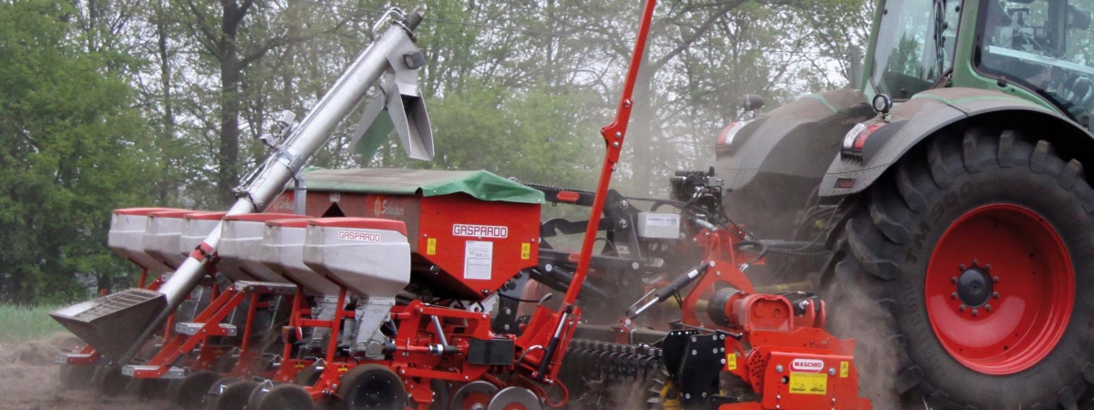 Maschio